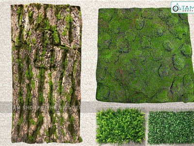 Thảm cỏ nhiệt đới nhiều kiểu TC-01